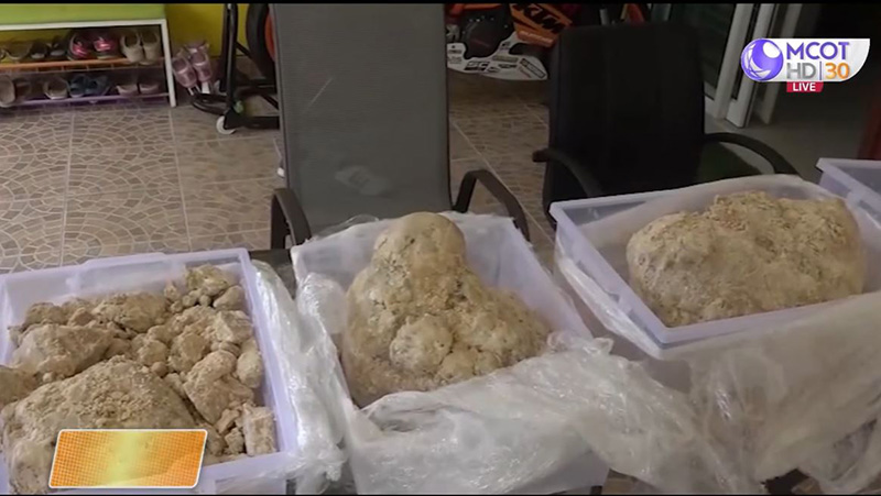 อำพันทะเลยักษ์ 30 กก. อำพันทะเลยักษ์ 30 กก.