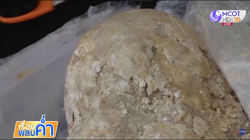 อำพันทะเลยักษ์ 30 กก. อำพันทะเลยักษ์ 30 กก.