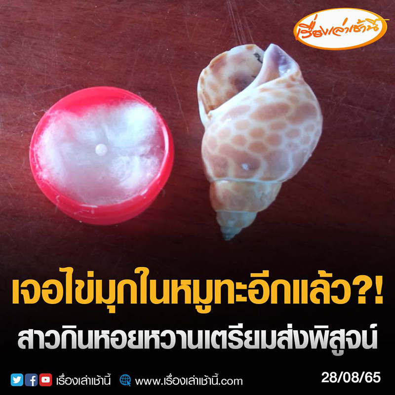 สาวโชคดีเคี้ยวหอยหวานนึกว่าเจอก้อนหิน สาวโชคดีเคี้ยวหอยหวานนึกว่าเจอก้อนหิน