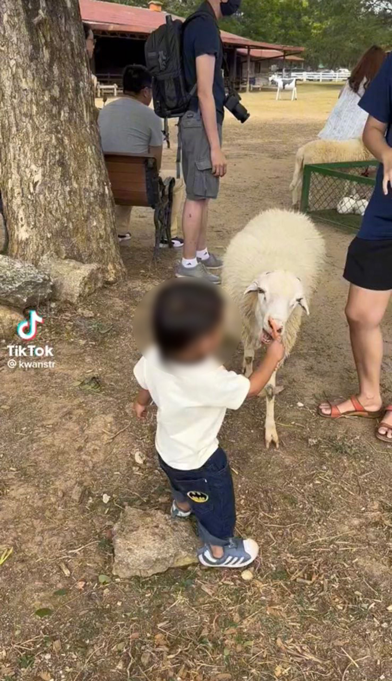 อุทาหรณ์ผู้ปกครอง พาเด็กเล็กเที่ยวสวนสัตว์เปิด อุทาหรณ์ผู้ปกครอง พาเด็กเล็กเที่ยวสวนสัตว์เปิด