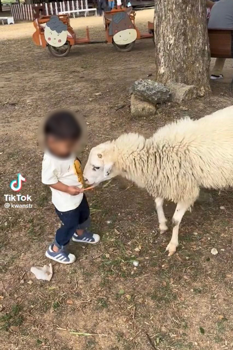 อุทาหรณ์ผู้ปกครอง พาเด็กเล็กเที่ยวสวนสัตว์เปิด อุทาหรณ์ผู้ปกครอง พาเด็กเล็กเที่ยวสวนสัตว์เปิด