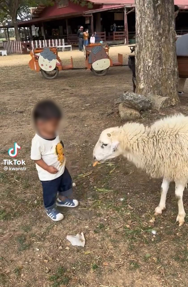 อุทาหรณ์ผู้ปกครอง พาเด็กเล็กเที่ยวสวนสัตว์เปิด อุทาหรณ์ผู้ปกครอง พาเด็กเล็กเที่ยวสวนสัตว์เปิด