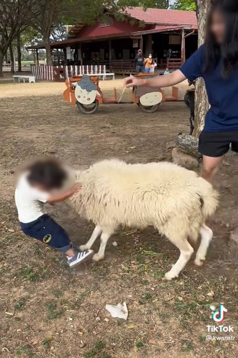 อุทาหรณ์ผู้ปกครอง พาเด็กเล็กเที่ยวสวนสัตว์เปิด อุทาหรณ์ผู้ปกครอง พาเด็กเล็กเที่ยวสวนสัตว์เปิด