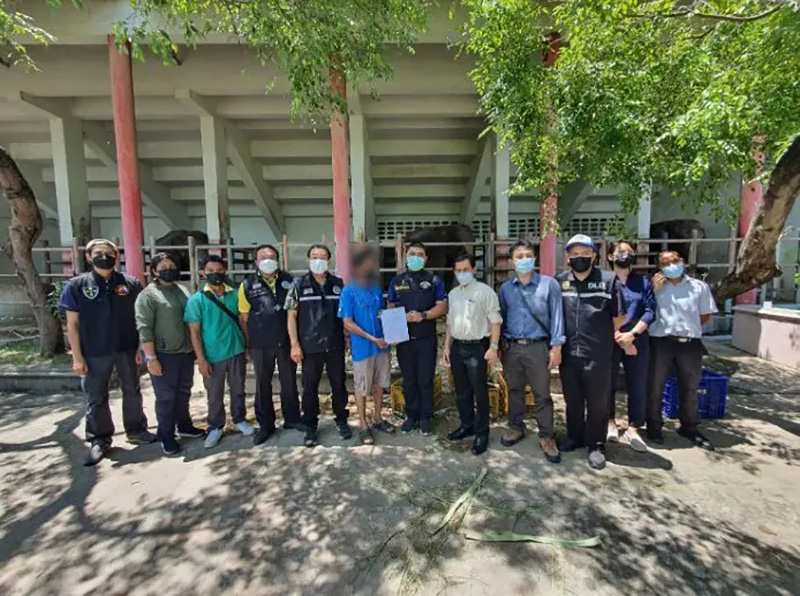 ช้างฟาร์มจระเข้สมุทรปราการ ช้างฟาร์มจระเข้สมุทรปราการ