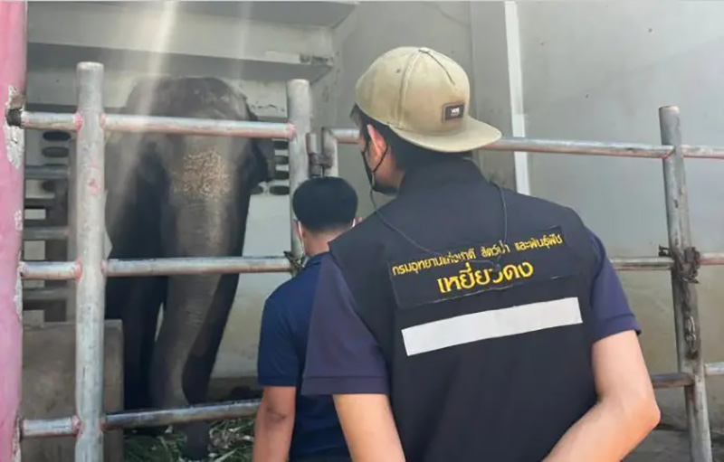 ช้างฟาร์มจระเข้สมุทรปราการ ช้างฟาร์มจระเข้สมุทรปราการ