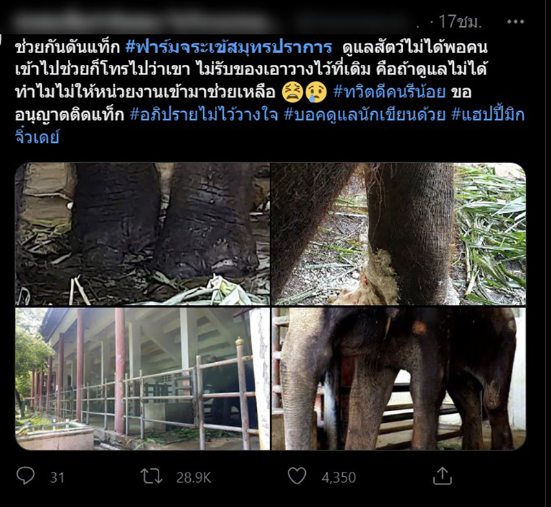 โซเชียลสุดสงสาร ช้างฟาร์มจระเข้สมุทรปราการ โซเชียลสุดสงสาร ช้างฟาร์มจระเข้สมุทรปราการ