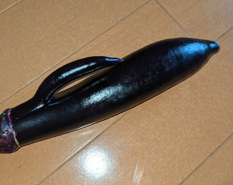 ไวรัลมะเขือม่วงญี่ปุ่น ไวรัลมะเขือม่วงญี่ปุ่น