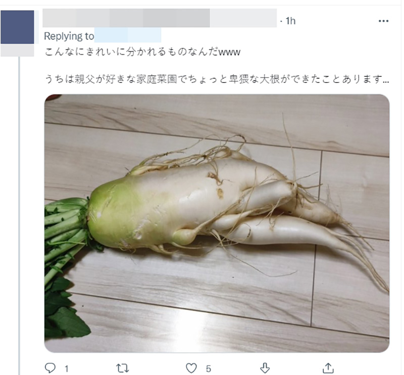 ไวรัลมะเขือม่วงญี่ปุ่น ไวรัลมะเขือม่วงญี่ปุ่น