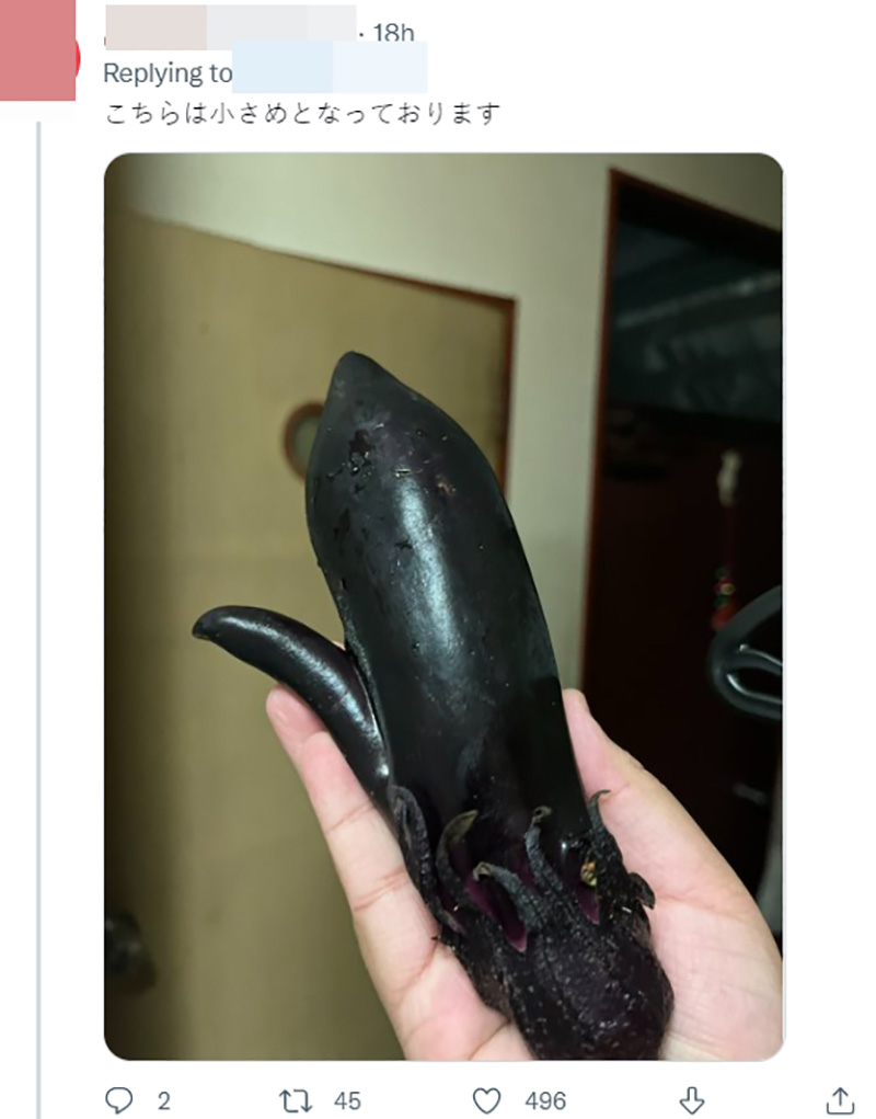 ไวรัลมะเขือม่วงญี่ปุ่น ไวรัลมะเขือม่วงญี่ปุ่น