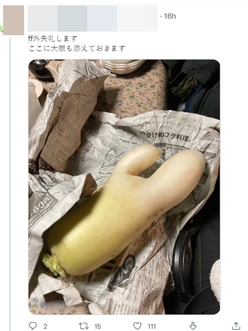 ไวรัลมะเขือม่วงญี่ปุ่น ไวรัลมะเขือม่วงญี่ปุ่น