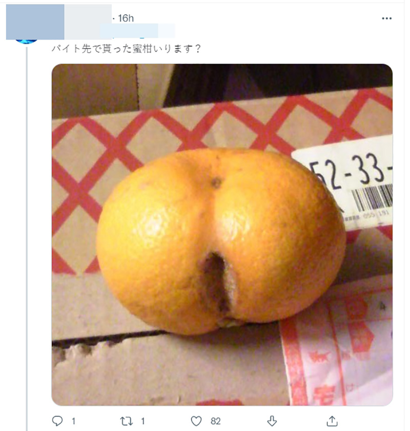 ไวรัลมะเขือม่วงญี่ปุ่น ไวรัลมะเขือม่วงญี่ปุ่น