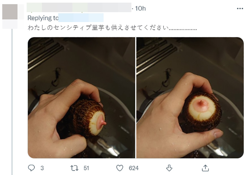 ไวรัลมะเขือม่วงญี่ปุ่น ไวรัลมะเขือม่วงญี่ปุ่น