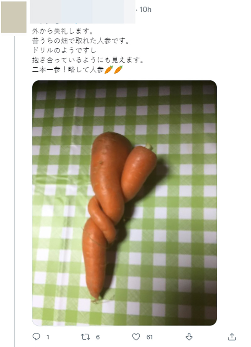 ไวรัลมะเขือม่วงญี่ปุ่น ไวรัลมะเขือม่วงญี่ปุ่น