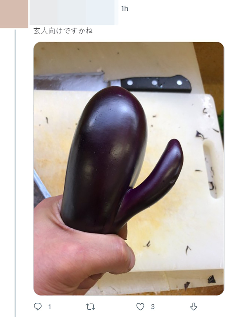 ไวรัลมะเขือม่วงญี่ปุ่น ไวรัลมะเขือม่วงญี่ปุ่น