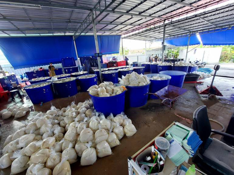 หมูแช่ฟอร์มาลีนส่งขายร้านหมูกระทะ หมูแช่ฟอร์มาลีนส่งขายร้านหมูกระทะ