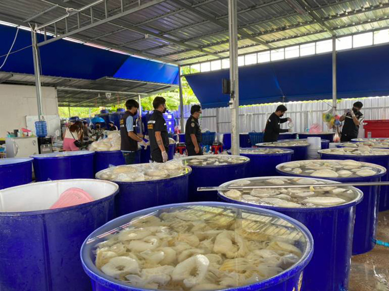 หมูแช่ฟอร์มาลีนส่งขายร้านหมูกระทะ หมูแช่ฟอร์มาลีนส่งขายร้านหมูกระทะ