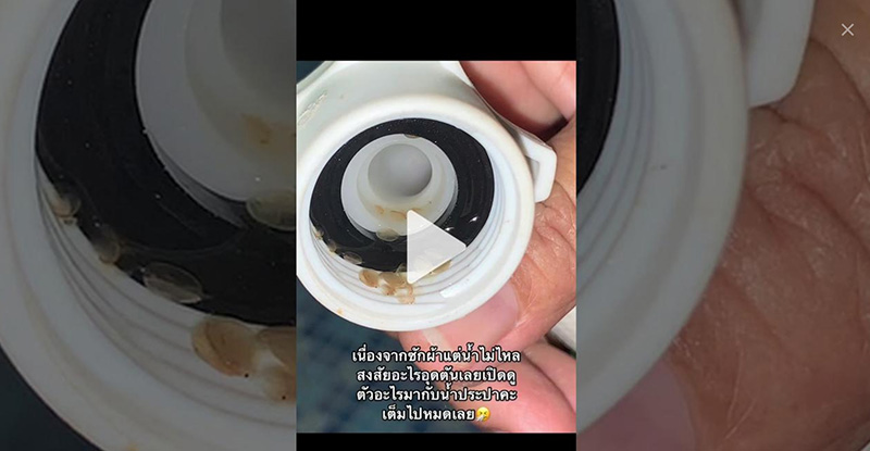 คลิปไวรัลสัตว์ปริศนาน่าขนลุก คลิปไวรัลสัตว์ปริศนาน่าขนลุก