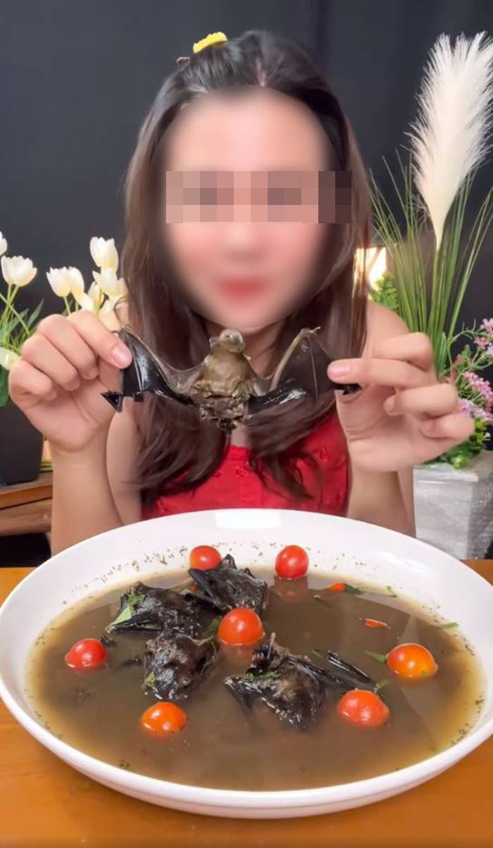 จับแล้ว ครูสาวโชว์เปิบพิสดาร กินค้างคาว จับแล้ว ครูสาวโชว์เปิบพิสดาร กินค้างคาว