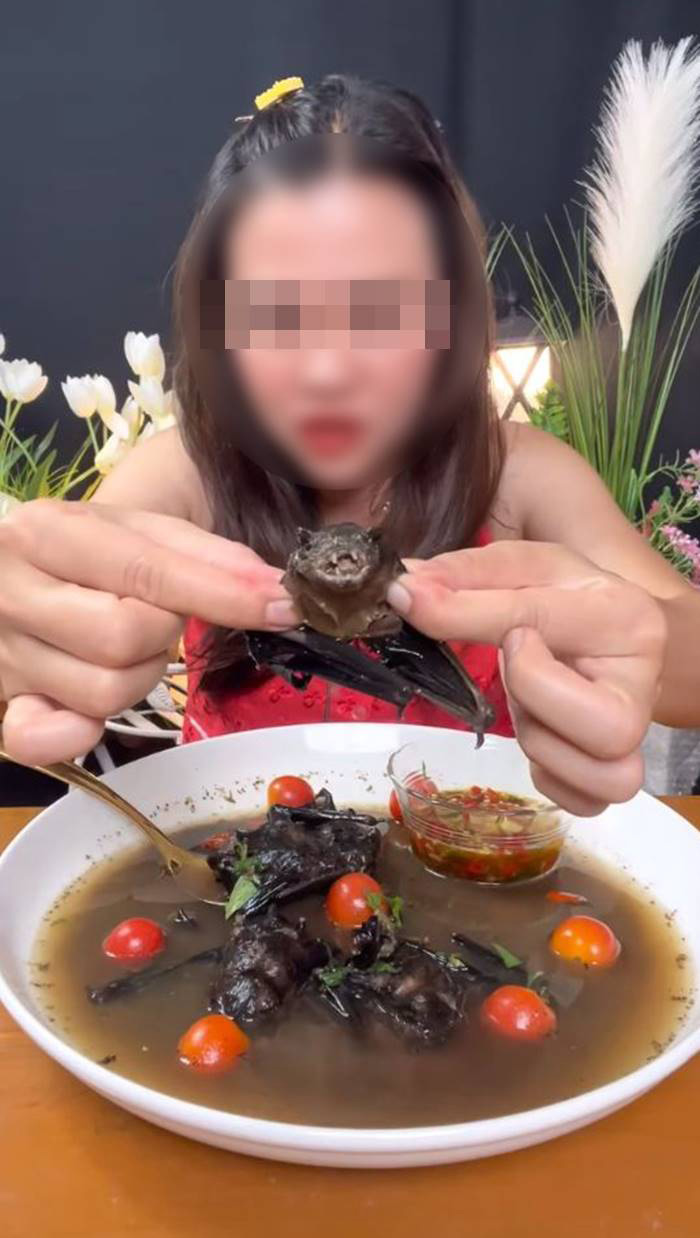 จับแล้ว ครูสาวโชว์เปิบพิสดาร กินค้างคาว จับแล้ว ครูสาวโชว์เปิบพิสดาร กินค้างคาว