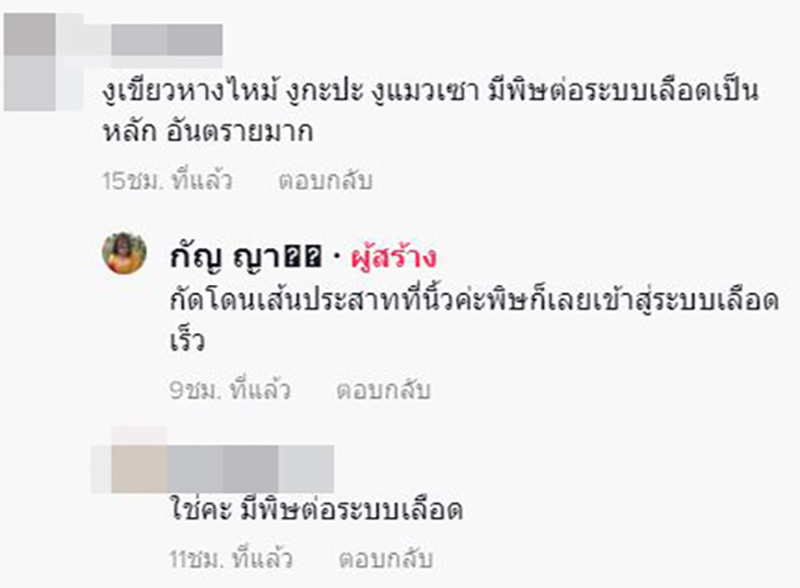 สาวแชร์ประสบการณ์ เกือบต้องตัดแขนเพราะงูเขียวหางไหม้ สาวแชร์ประสบการณ์ เกือบต้องตัดแขนเพราะงูเขียวหางไหม้