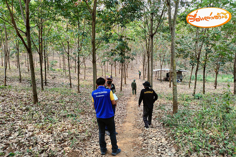 ที่ดิน ที่ดิน