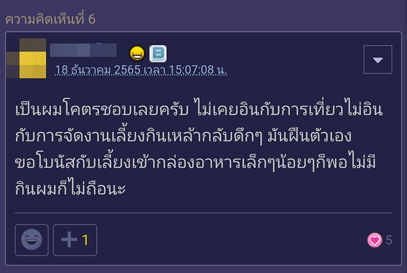 คอมเมนต์ คอมเมนต์