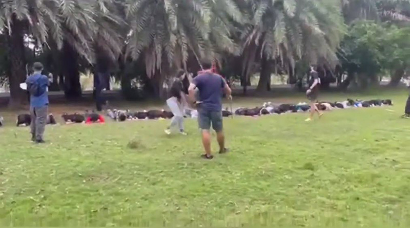 รุ่นพี่หลอก ปี 1 ไปค่ายอาสา แท้จริงพามาว้ากเถื่อน รุ่นพี่หลอก ปี 1 ไปค่ายอาสา แท้จริงพามาว้ากเถื่อน