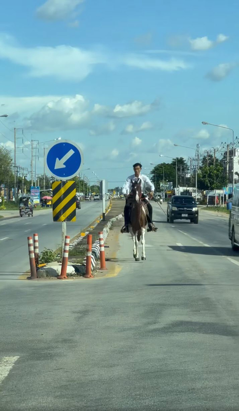 ไวรัลหนุ่มนักศึกษา ขี่ม้าไปเรียน ไวรัลหนุ่มนักศึกษา ขี่ม้าไปเรียน