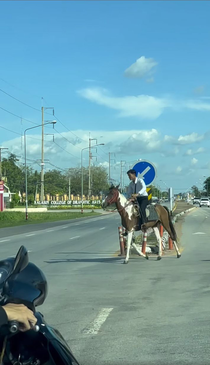 ไวรัลหนุ่มนักศึกษา ขี่ม้าไปเรียน ไวรัลหนุ่มนักศึกษา ขี่ม้าไปเรียน