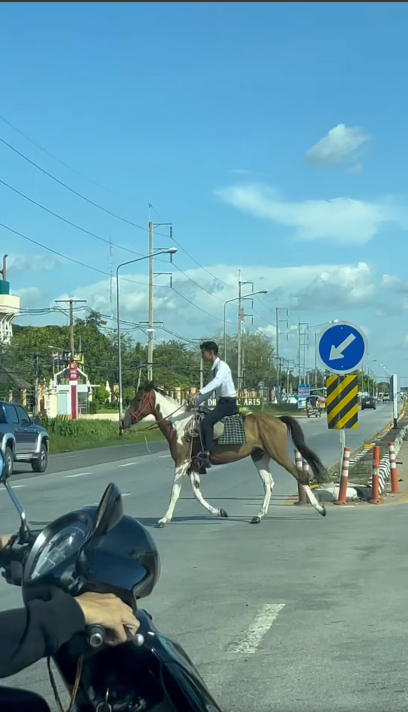 ไวรัลหนุ่มนักศึกษา ขี่ม้าไปเรียน ไวรัลหนุ่มนักศึกษา ขี่ม้าไปเรียน