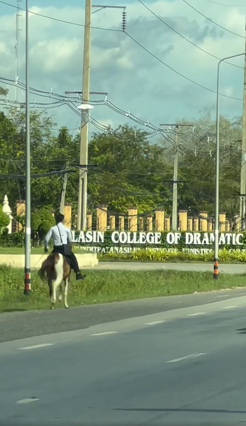 ไวรัลหนุ่มนักศึกษา ขี่ม้าไปเรียน ไวรัลหนุ่มนักศึกษา ขี่ม้าไปเรียน