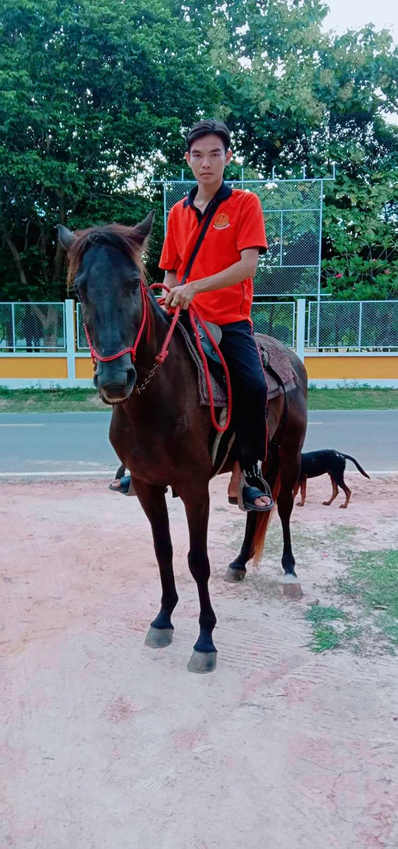 ไวรัลหนุ่มนักศึกษา ขี่ม้าไปเรียน ไวรัลหนุ่มนักศึกษา ขี่ม้าไปเรียน