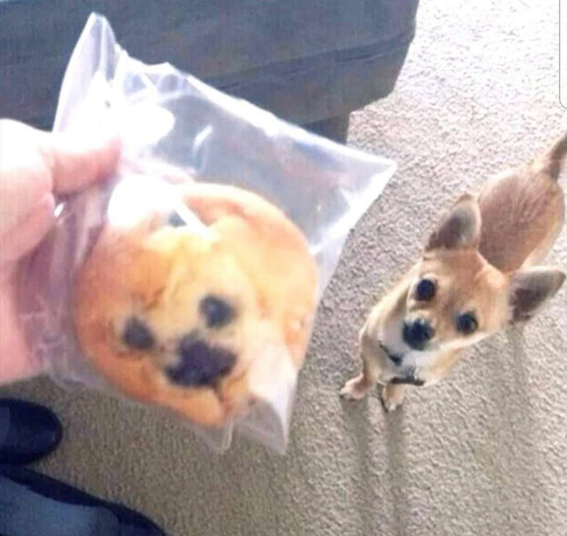 รวมรีวิวสินค้าฮา ๆ รวมรีวิวสินค้าฮา ๆ