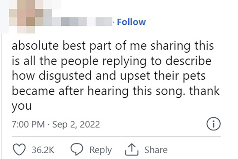 คอมเมนต์ คอมเมนต์