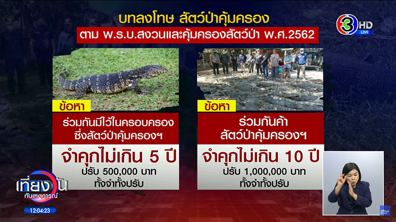 พี่หนุ่ม กินโชว์เน้น ๆ ลูกชิ้นปลา พี่หนุ่ม กินโชว์เน้น ๆ ลูกชิ้นปลา