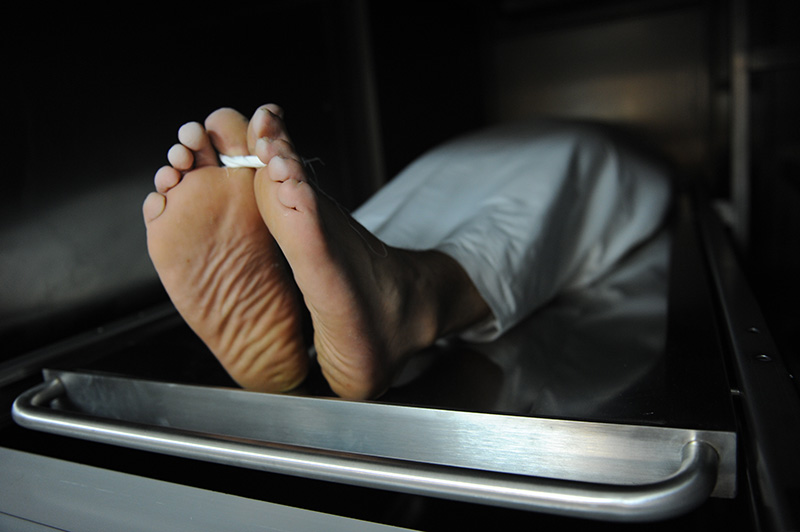 ช็อก จนท โรงเรียนแพทย์ฮาร์วาร์ด ลอบขายศพ ช็อก จนท โรงเรียนแพทย์ฮาร์วาร์ด ลอบขายศพ