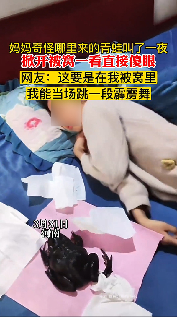 แม่ได้ยินเสียงกบจากห้องลูกสาว โผล่ไปดูแทบทรุด แม่ได้ยินเสียงกบจากห้องลูกสาว โผล่ไปดูแทบทรุด