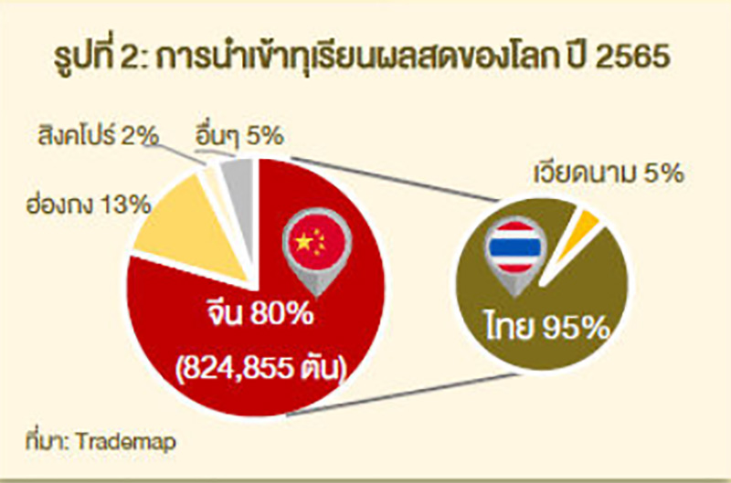 ทุเรียนไทยมีคู่แข่ง บัลลังก์ส่งออกกำลังสั่น ทุเรียนไทยมีคู่แข่ง บัลลังก์ส่งออกกำลังสั่น