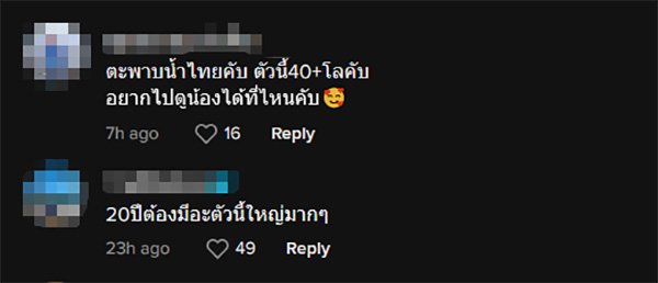 คอมเมนต์ คอมเมนต์