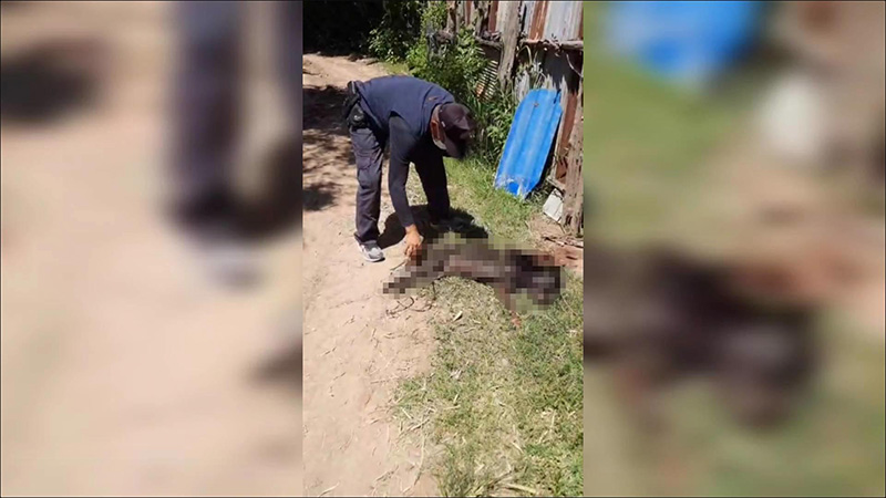 หนุ่มเดือด ฟาดหัวหมาหลังกัดไก่ตายยกเล้า 200 ตัว ฝากถึงคณะทัวร์ ผมก็รักไก่ผม หนุ่มเดือด ฟาดหัวหมาหลังกัดไก่ตายยกเล้า 200 ตัว ฝากถึงคณะทัวร์ ผมก็รักไก่ผม