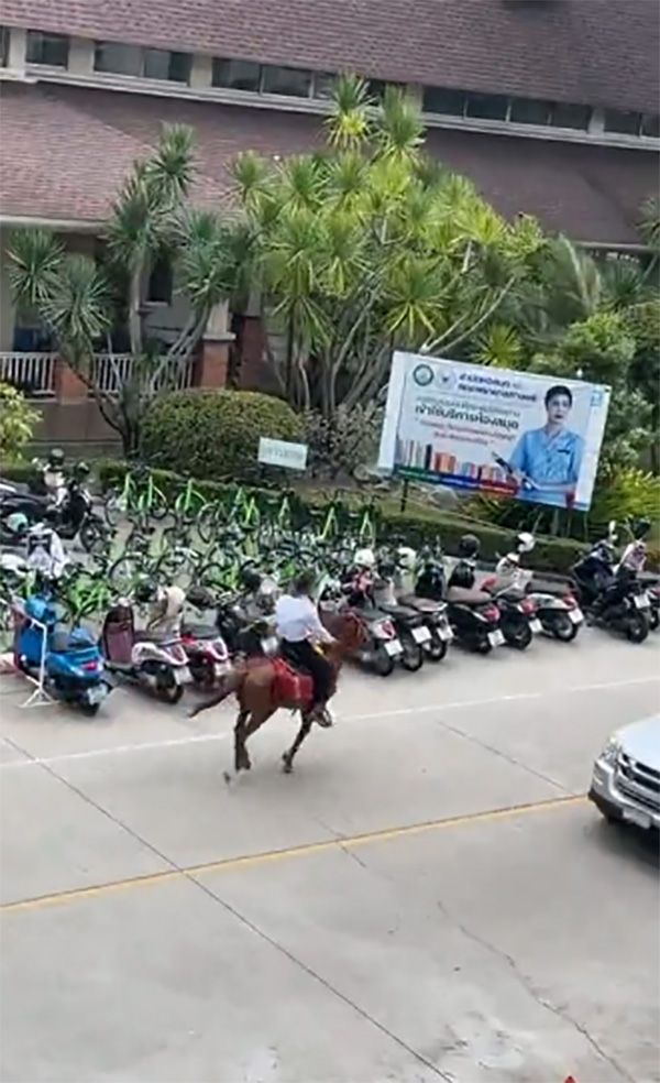 นักศึกษาหนุ่มสุดตึง ควบม้าไปเรียน รุ่นนี้ประหยัดน้ำมัน นักศึกษาหนุ่มสุดตึง ควบม้าไปเรียน รุ่นนี้ประหยัดน้ำมัน