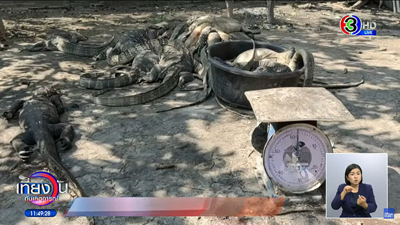 พี่หนุ่ม กินโชว์เน้น ๆ ลูกชิ้นปลา พี่หนุ่ม กินโชว์เน้น ๆ ลูกชิ้นปลา