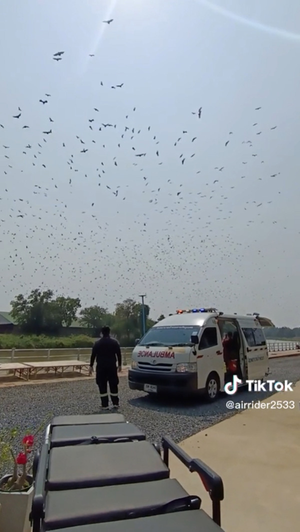 กู้ภัยอึ้ง ค้างคาวบินว่อนตอนไปรับผู้ป่วยที่บ้าน กู้ภัยอึ้ง ค้างคาวบินว่อนตอนไปรับผู้ป่วยที่บ้าน