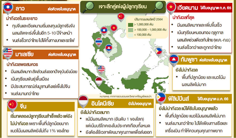 ทุเรียนไทยมีคู่แข่ง บัลลังก์ส่งออกกำลังสั่น ทุเรียนไทยมีคู่แข่ง บัลลังก์ส่งออกกำลังสั่น