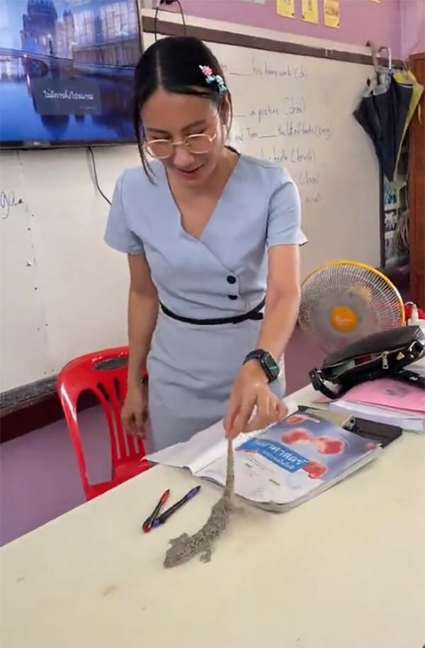 ครูสาวสุดแกร่ง โชว์สกิลจับตุ๊กแกมือเปล่าแบบสุดชิล แต่นักเรียนแทบช็อก ครูสาวสุดแกร่ง โชว์สกิลจับตุ๊กแกมือเปล่าแบบสุดชิล แต่นักเรียนแทบช็อก