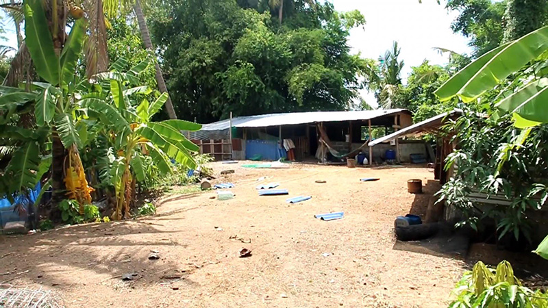 หนุ่มเดือด ฟาดหัวหมาหลังกัดไก่ตายยกเล้า 200 ตัว ฝากถึงคณะทัวร์ ผมก็รักไก่ผม หนุ่มเดือด ฟาดหัวหมาหลังกัดไก่ตายยกเล้า 200 ตัว ฝากถึงคณะทัวร์ ผมก็รักไก่ผม