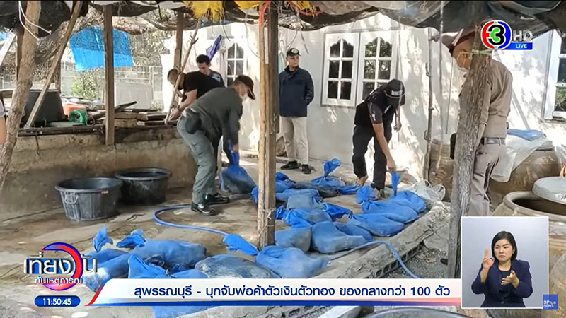 พี่หนุ่ม กินโชว์เน้น ๆ ลูกชิ้นปลา พี่หนุ่ม กินโชว์เน้น ๆ ลูกชิ้นปลา