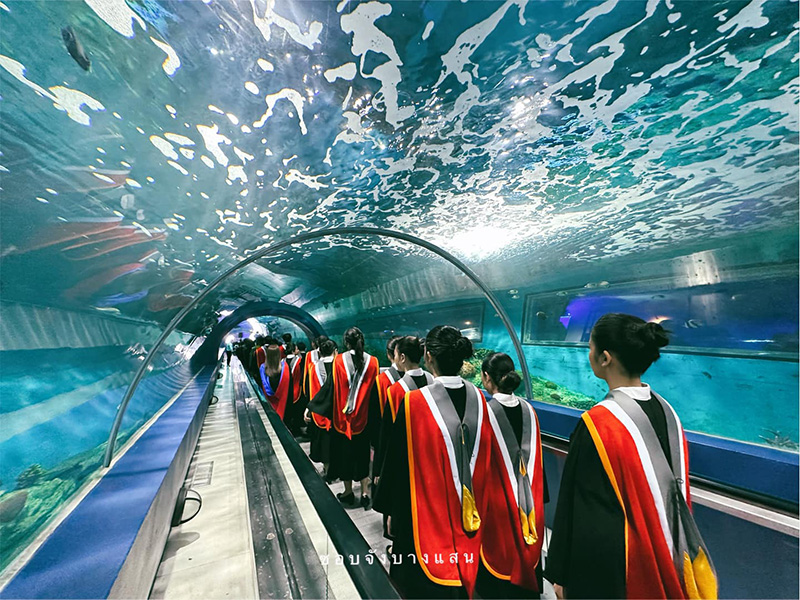 ม บูรพา รับปริญญาในอควาเรียม มีเงือกโชว์ ปลานับร้อยเป็นพยาน ม บูรพา รับปริญญาในอควาเรียม มีเงือกโชว์ ปลานับร้อยเป็นพยาน