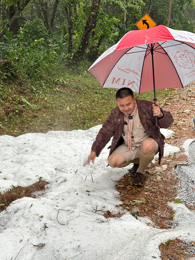 เปิดภาพลูกเห็บตกดอยอ่างขาง เปิดภาพลูกเห็บตกดอยอ่างขาง