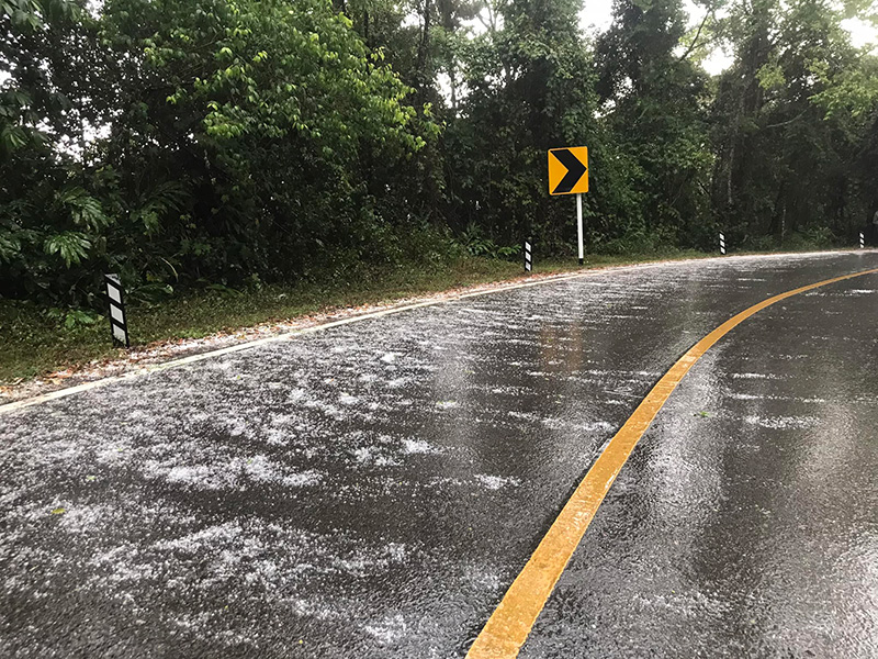 เปิดภาพลูกเห็บตกดอยอ่างขาง เปิดภาพลูกเห็บตกดอยอ่างขาง